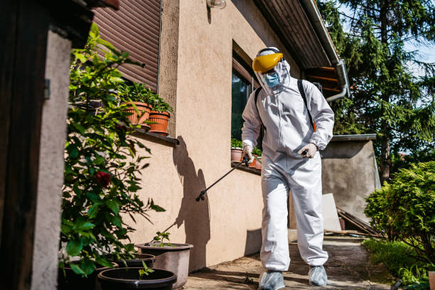 Best Wasp Removal Services  in Belville, NC