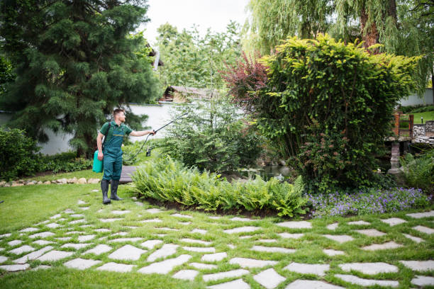 Best Affordable Pest Control Services  in Belville, NC