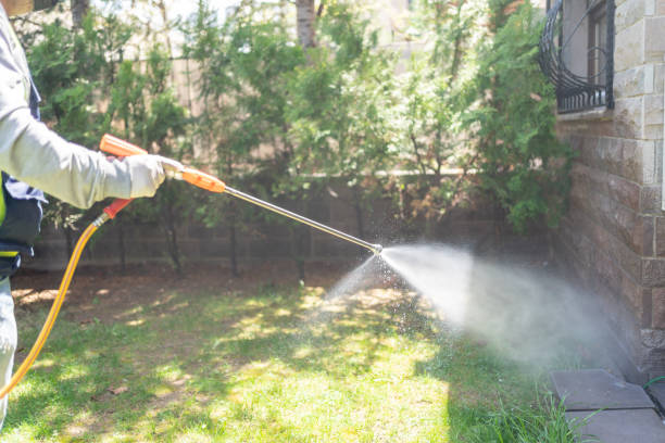 Best Best Pest Control Companies  in Belville, NC