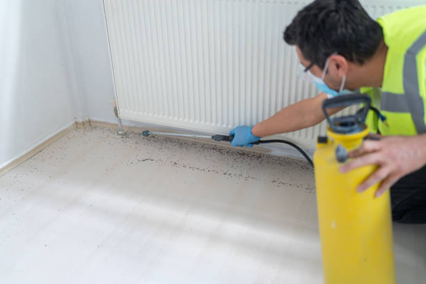 Best Emergency Pest Control  in Belville, NC